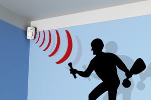 Motion-Sensor-1